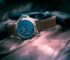 DW Released Brand New Model